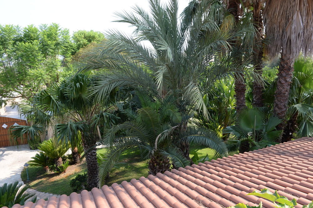 مبيت وإفطار تالسانو Il Giardino Delle Jacaranda المظهر الخارجي الصورة